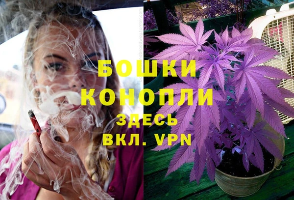 прущая мука Бородино