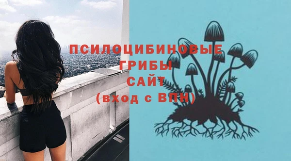 ECSTASY Бугульма