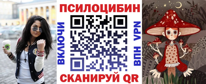 где купить наркотик  Пенза  Псилоцибиновые грибы ЛСД 
